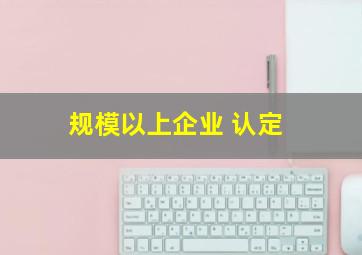 规模以上企业 认定